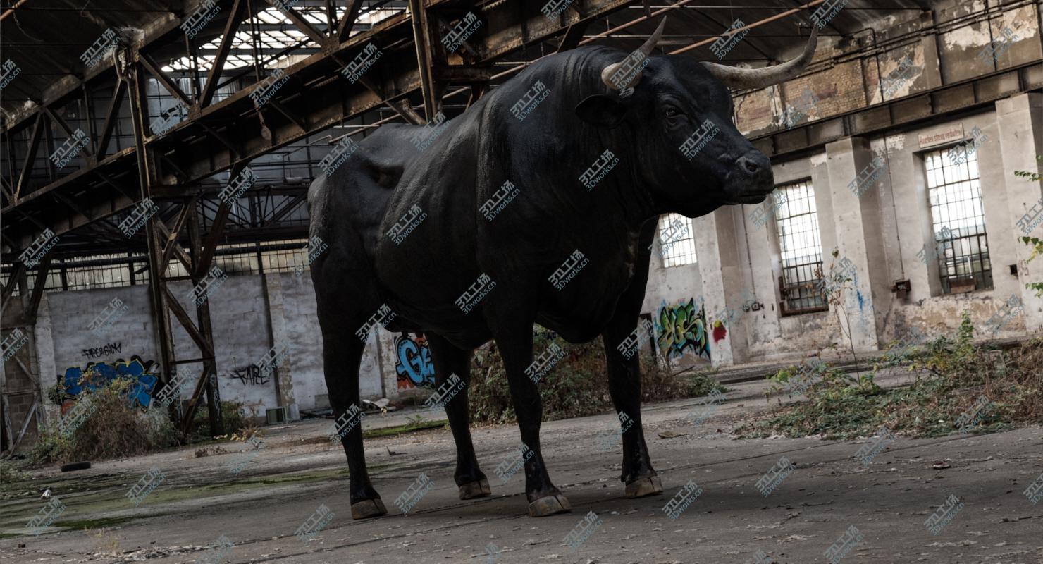 images/goods_img/20210319/Bull Cow (NoFur) (Rigged) 3D/5.jpg